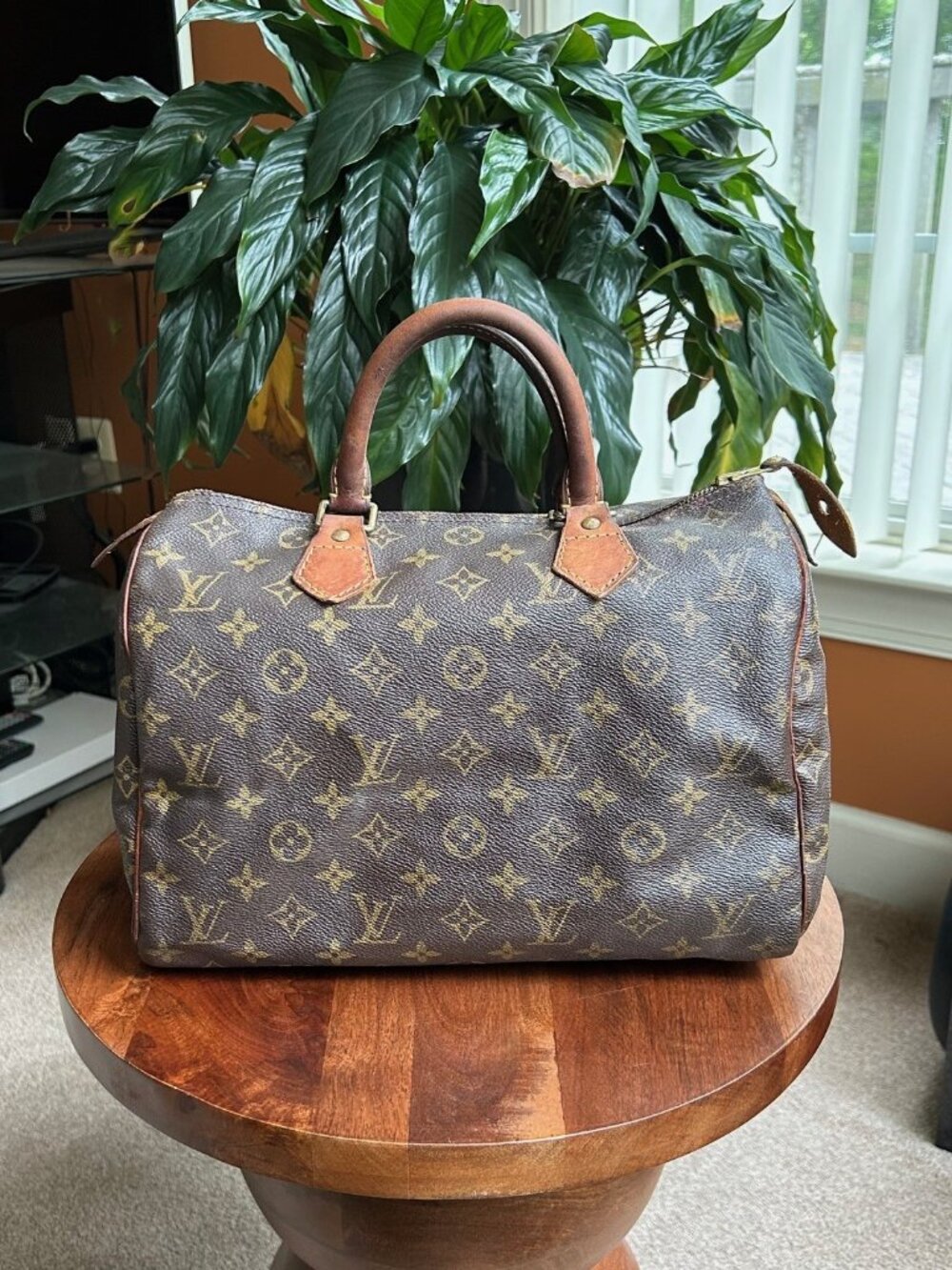 LOUIS VUITTON Monogram Speedy 30